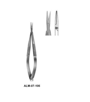 Noyes