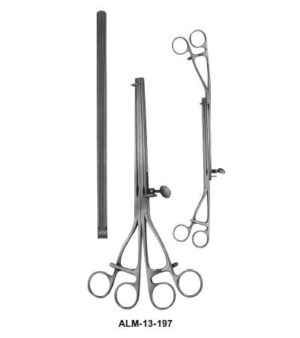 Lane Gastro Intestinal Forceps Twin