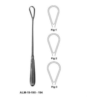 Bumm Placenta and Uterine Curettes