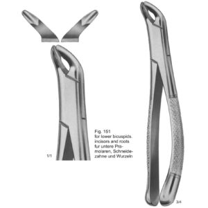 Tooth Extracting Forceps (American Pattern)