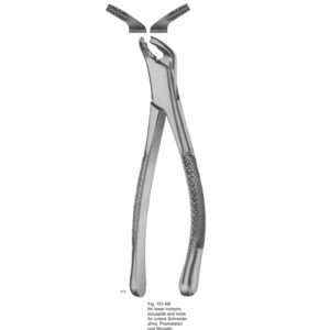 Tooth Extracting Forceps (American Pattern)