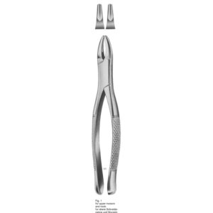 Tooth Extracting Forceps (American Pattern)