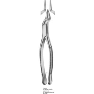 Tooth Extracting Forceps (American Pattern)