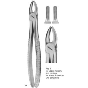 Tooth Extracting Forceps (English Pattern)