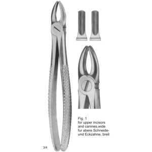 Tooth Extracting Forceps (English Pattern)