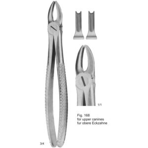 Tooth Extracting Forceps (English Pattern)