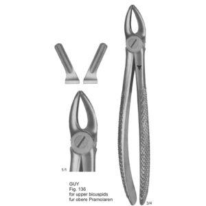 Tooth Extracting Forceps (English Pattern)