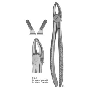 Tooth Extracting Forceps (English Pattern)