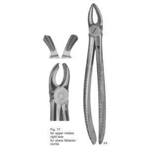 Tooth Extracting Forceps (English Pattern)