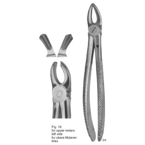Tooth Extracting Forceps (English Pattern)