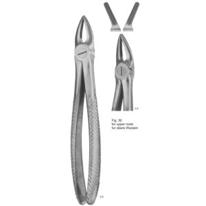 Tooth Extracting Forceps (English Pattern)