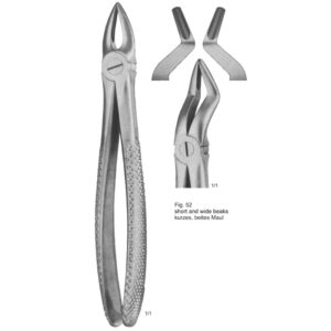 Tooth Extracting Forceps (English Pattern)