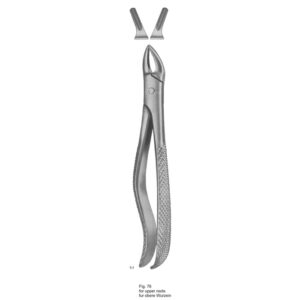 Tooth Extracting Forceps (English Pattern)