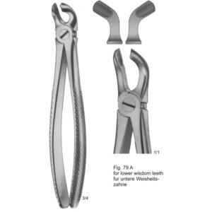 Tooth Extracting Forceps (English Pattern)