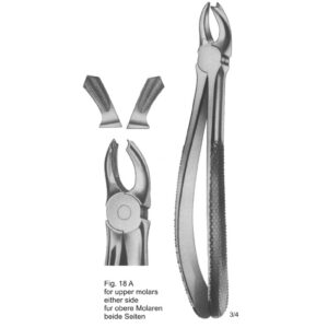 Tooth Extracting Forceps (English Pattern)