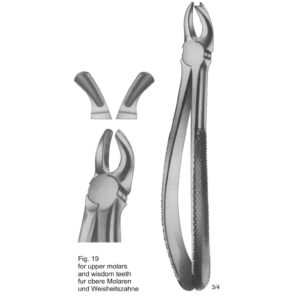 Tooth Extracting Forceps (English Pattern)
