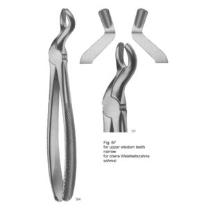 Tooth Extracting Forceps (English Pattern)