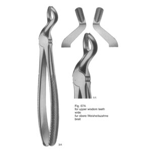 Tooth Extracting Forceps (English Pattern)