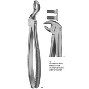 Tooth Extracting Forceps (English Pattern)