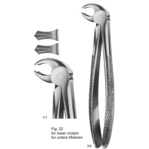 Tooth Extracting Forceps (English Pattern)