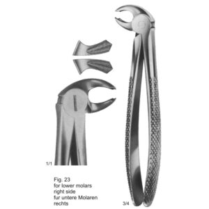 Tooth Extracting Forceps (English Pattern)