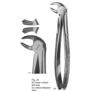 Tooth Extracting Forceps (English Pattern)