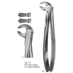 Tooth Extracting Forceps (English Pattern)