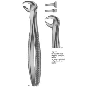 Tooth Extracting Forceps (English Pattern)
