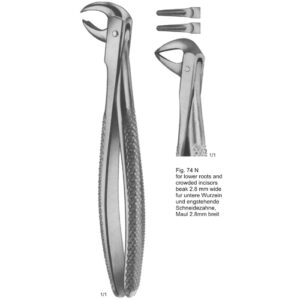 Tooth Extracting Forceps (English Pattern)