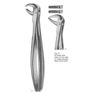 Tooth Extracting Forceps (English Pattern)