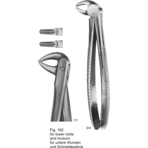 Tooth Extracting Forceps (English Pattern)