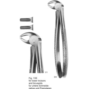Tooth Extracting Forceps (English Pattern)