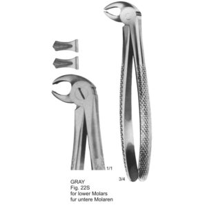 Tooth Extracting Forceps (English Pattern)
