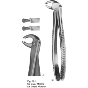 Tooth Extracting Forceps (English Pattern)