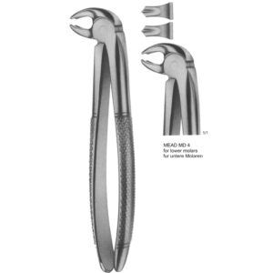 Tooth Extracting Forceps (English Pattern)