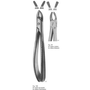 Tooth Extracting Forceps (English Pattern)