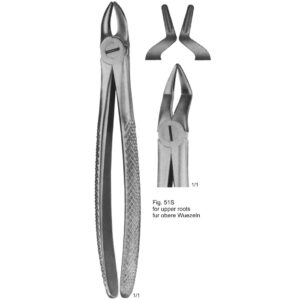 Tooth Extracting Forceps (English Pattern)