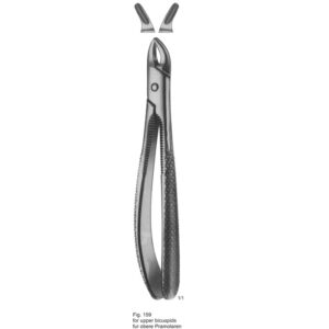 Tooth Extracting Forceps (English Pattern)