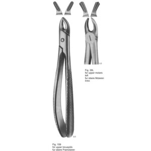 Tooth Extracting Forceps (English Pattern)