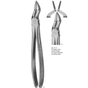 Tooth Extracting Forceps (English Pattern)