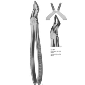 Tooth Extracting Forceps (English Pattern)