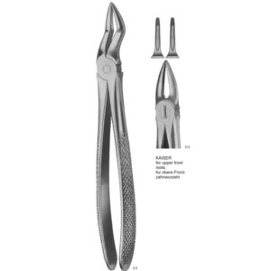 Tooth Extracting Forceps (English Pattern)