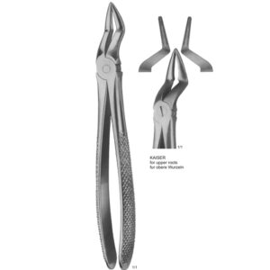 Tooth Extracting Forceps (English Pattern)