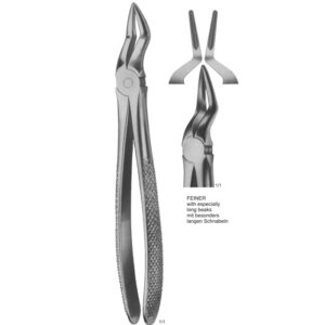 Tooth Extracting Forceps (English Pattern)