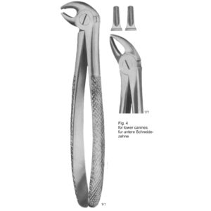 Tooth Extracting Forceps (English Pattern)