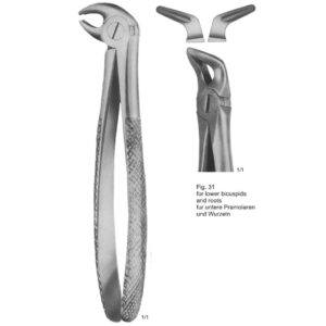 Tooth Extracting Forceps (English Pattern)