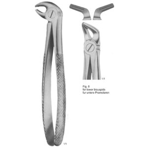 Tooth Extracting Forceps (English Pattern)