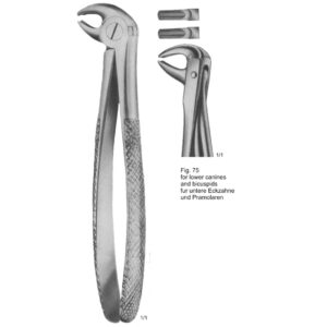 Tooth Extracting Forceps (English Pattern)