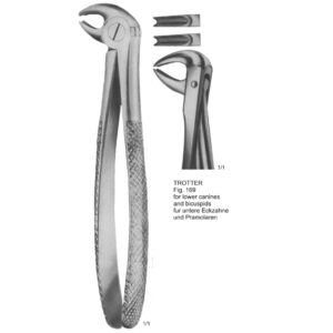 Tooth Extracting Forceps (English Pattern)