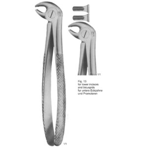 Tooth Extracting Forceps (English Pattern)